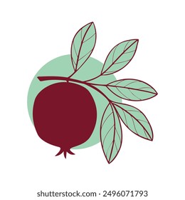 Pomegranate fruit on branch with leaves, stylized contour drawing , logo icon emblem and element design.