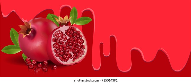 Pomegranate fruit on Red background, flowing juicy water and copy space for text. vector illustration.