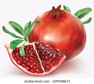 Pomegranate fruit and one cut fruit with leafs on white background. Vector mesh illustratoin