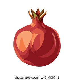 Pomegranate fruit. Red juicy fruit. Vector illustration on a white background.