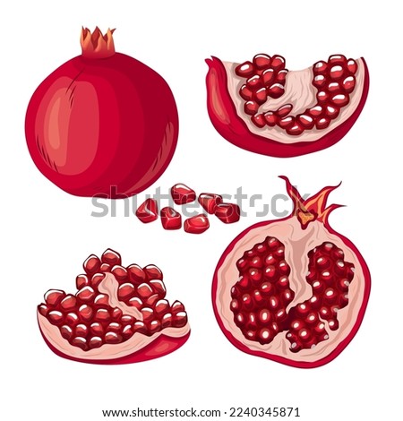 pomegranate fruit red seed set cartoon. ripe fresh, organic raw, juicy half, cut food, piece part, healthy natural, sweet leaf, vegetarian pomegranate fruit red seed vector illustration