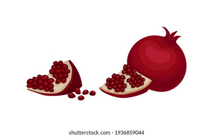 Pomegranate Fruit with Red-purple Husk with Inner, Spongy Mesocarp with Edible Seeds Vector Set