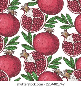 Pomegranate fruit seamless pattern. Hand drawn design. Vector illustration. Design, package, brochure illustration. Pomegranate background illustration. Design for packaging design and other.