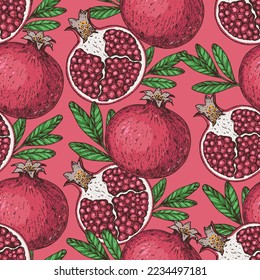 Pomegranate fruit seamless pattern. Hand drawn design. Vector illustration. Design, package, brochure illustration. Pomegranate background illustration. Design for packaging design and other.