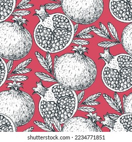 Pomegranate fruit seamless pattern. Hand drawn design. Vector illustration. Design, package, brochure illustration. Pomegranate background illustration. Design for packaging design and other.