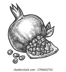 Pomegranate fruit and seed vector sketch, pencil hatching design. Hand drawn pomegranate split open fruit, juice and dessert package design element, monochrome engraving