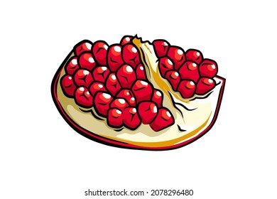 Pomegranate fruit with seeds. Colored exotic pomegranate fruit. Vector illustration isolated in white background