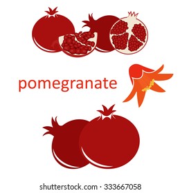 pomegranate fruit with seeds and flower. vector format illustration