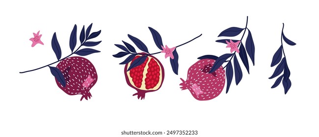 Pomegranate Fruit set, hand drawn doodle isolated on white background. Vector Food template for design, sticker, logo, diet concept, farmers market. Whole fruit, cut half fruit, leaves, flowers