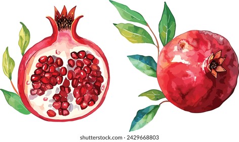 Pomegranate fruit set whole and half and green leaves. Watercolor hand drawn vector illustration isolated on white background