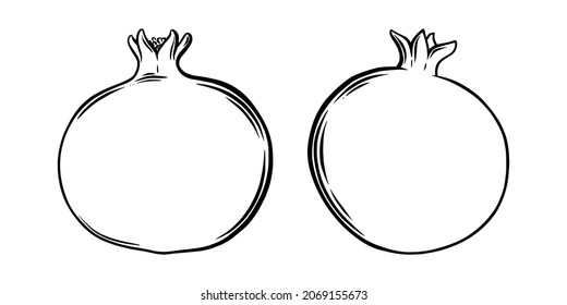 Pomegranate fruit side view. Colored exotic pomegranate fruit. Vector illustration isolated in white background