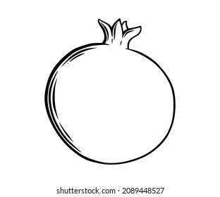 Pomegranate fruit side view. Colored exotic pomegranate fruit. Vector illustration isolated in white background