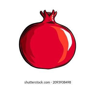 Pomegranate fruit side view. Colored exotic pomegranate fruit. Vector illustration isolated in white background