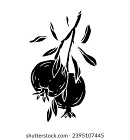 Pomegranate fruit silhouette.Decorative botanical element.Vector graphic.