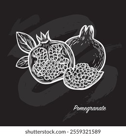 Pomegranate fruit in the style of line drawing on a black board. Engraving of pomegranate it is well suited for packaging.