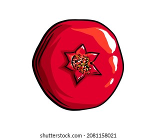 Pomegranate fruit top view. Colored exotic pomegranate fruit. Vector illustration isolated in white background