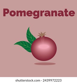 pomegranate fruit vector design idea and illustration