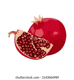 Pomegranate Fruit Vector flat design graphic 2d HD