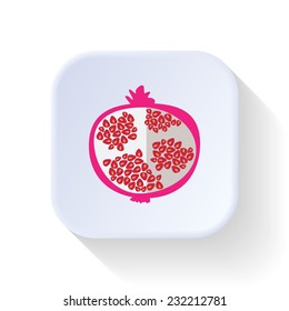 Pomegranate fruit vector graphic illustration design art