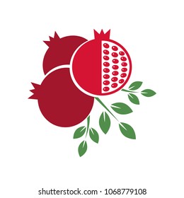 Pomegranate fruit. Vector illustration.