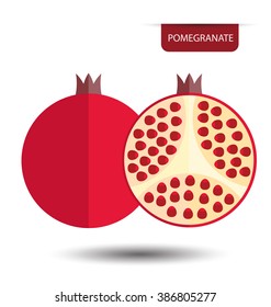 pomegranate, fruit vector illustration