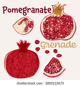 Pomegranate fruit vector illustration. Colorful textured modern vector design.