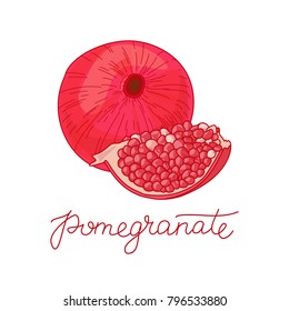 Pomegranate fruit vector illustration, Hand drawn vector red fruit and seeds arrangement isolated on the white background, doodle illustration with calligraphic text