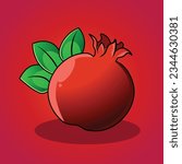 Pomegranate  fruit Vector illustration high quality image