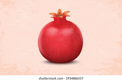 Pomegranate fruit vector illustration isolated on light red background 