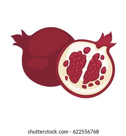 Pomegranate fruit vector isolated flat icon whole and cut sliced