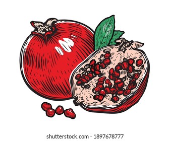 Pomegranate fruit vector. Whole, half fruit and garnet seed grain