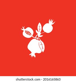 Pomegranate fruit vintage design template. Botanical fruit. Engraved pomegranate. Vector illustration 