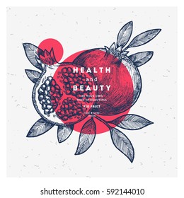 Pomegranate fruit vintage design template. Botanical fruit. Engraved pomegranate. Vector illustration