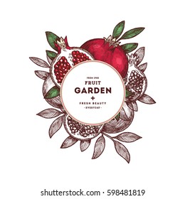 Pomegranate fruit vintage design template. Botanical fruit. Engraved pomegranate. Vector illustration
