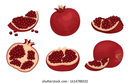 Pomegranate Fruit Whole and Sectioned with Many Seeds Inside Vector Set