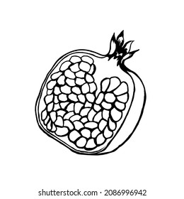 Frutos granados,medio,aislados en un fondo blanco.Dibujo manual vectorial en forma de doodle.