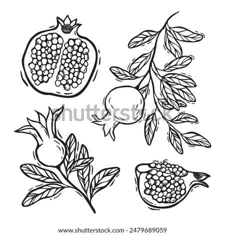Similar – Image, Stock Photo Organic pomegranate fruits