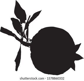 Pomegranate fruits, silhouette. Isolated vector illustration Black on white. The symbol of the Jewish New Year. Rosh Hashana. Pomegranate Branch.