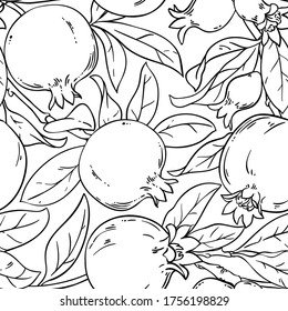 pomegranate fruits vector pattern on white background