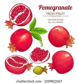 pomegranate fruits vector set