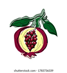 Pomegranate. Garnet. abstract stylized drawn with black lines and color spots. sketch drawn by hand. Vector illustration isolated on white background.