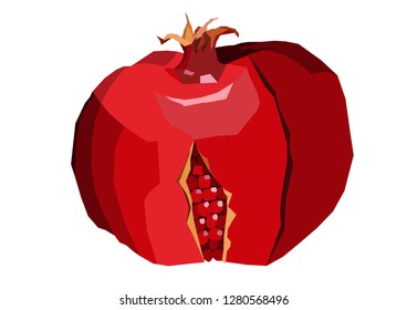 pomegranate garnet  fruit vector