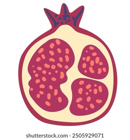 Pomegranate half doodle vector illustration isolated on white.