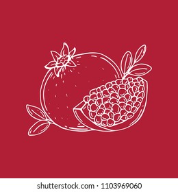 Pomegranate. Half of pomegranate. Pomegranate seeds. Vector Illustration. Hand drawn. 
