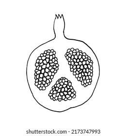Pomegranate half sliced fruit botanical hand drawn vector illustration background. Rosh Hashanah card. Vegetarian eco food product, organic, vegan nutrition. For recipe book, floral menu cover design.