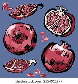 Pomegranate hand draw, vector, isolated. Brush strokes with texture. Artistic with interesting colors.