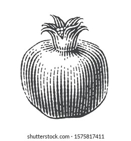 Pomegranate. Hand drawn engraving style illustrations.