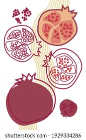 Pomegranate hand drawn flat fruit and outline vector illustration EPS10
