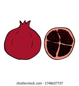 Pomegranate. Hand drawn outline doodle icon. Colorful isolated on white background. Vector illustration for greeting cards, posters, patches, prints for clothes, emblems.