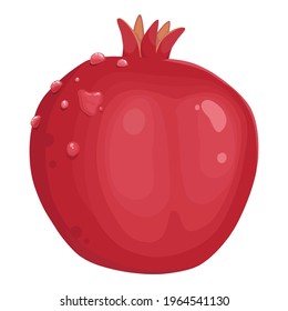 Pomegranate hand drawn and realistic style on white background, isolated red fruit whole, half, with leaves. colorful cartoon style illustration